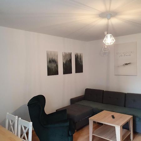 Apartament Aga Ustrzyki Dolne Ngoại thất bức ảnh