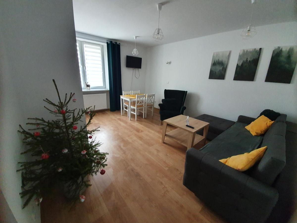 Apartament Aga Ustrzyki Dolne Ngoại thất bức ảnh